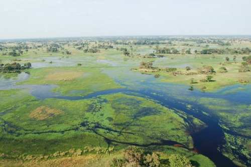 rondvlucht over de okavango delta.jpg